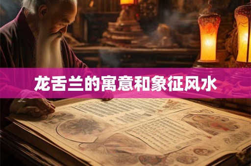 龙舌兰的寓意和象征风水