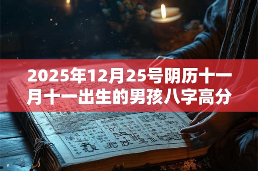 2025年12月25号阴历十一月十一出生的男孩八字高分起名字