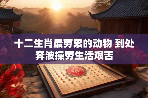 十二生肖最劳累的动物 到处奔波操劳生活艰苦