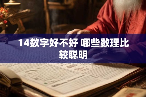 14数字好不好 哪些数理比较聪明