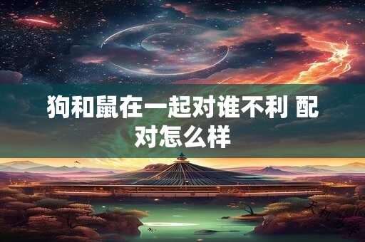 狗和鼠在一起对谁不利 配对怎么样