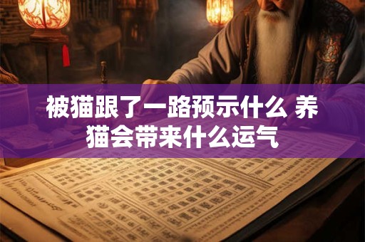 被猫跟了一路预示什么 养猫会带来什么运气 被猫跟了一路预示什么 养猫会带来什么运气