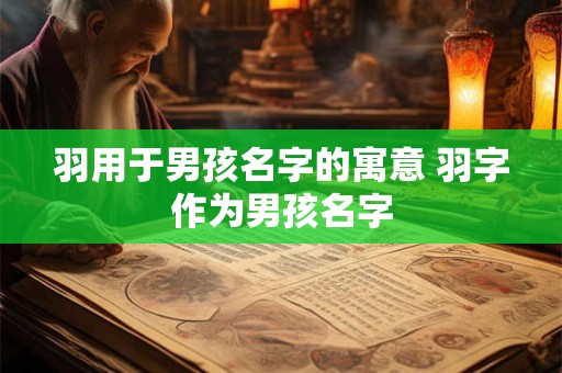 羽用于男孩名字的寓意 羽字作为男孩名字