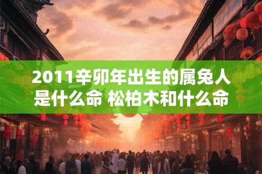 2011辛卯年出生的属兔人是什么命 松柏木和什么命最配