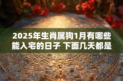 详细阅读:2025年生肖属狗1月有哪些能入宅的日子 下面几天都是吉日 2025年生肖属狗1月有哪些能入宅的日子 下面几天都是吉日