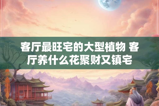 客厅最旺宅的大型植物 客厅养什么花聚财又镇宅