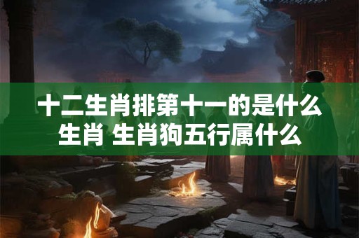 十二生肖排第十一的是什么生肖 生肖狗五行属什么 十二生肖排第十一的是什么生肖 生肖狗五行属什么