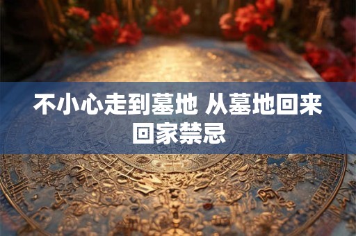 不小心走到墓地 从墓地回来回家禁忌