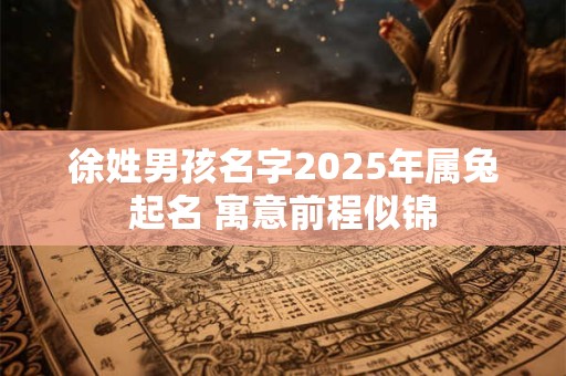 徐姓男孩名字2025年属兔起名 寓意前程似锦