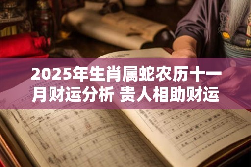 2025年生肖属蛇农历十一月财运分析 贵人相助财运提升