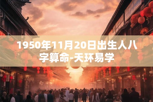 1950年11月20日出生人八字算命-天环易学