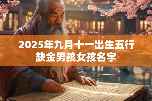 2025年九月十一出生五行缺金男孩女孩名字