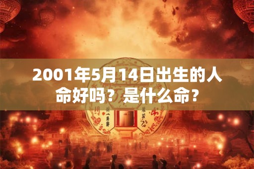 2001年5月14日出生的人命好吗？是什么命？