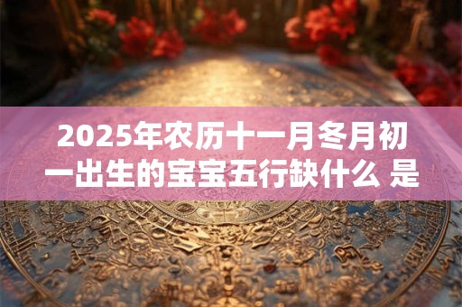 2025年农历十一月冬月初一出生的宝宝五行缺什么 是什么命