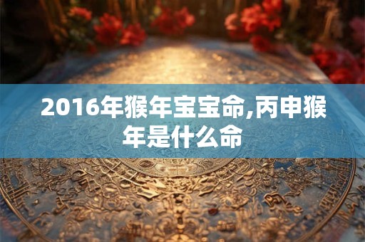 2016年猴年宝宝命,丙申猴年是什么命