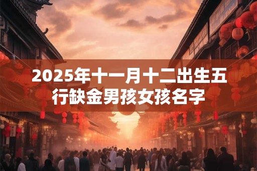 2025年十一月十二出生五行缺金男孩女孩名字