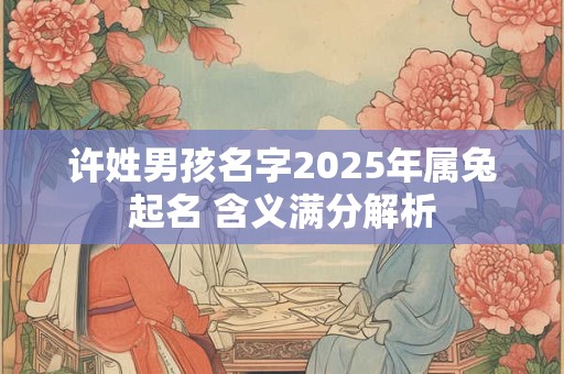 许姓男孩名字2025年属兔起名 含义满分解析