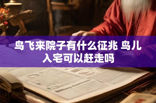 鸟飞来院子有什么征兆 鸟儿入宅可以赶走吗
