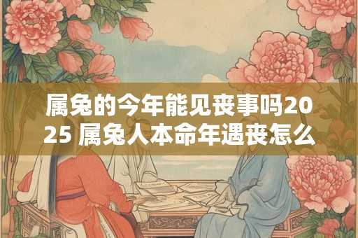 属兔的今年能见丧事吗2025 属兔人本命年遇丧怎么办