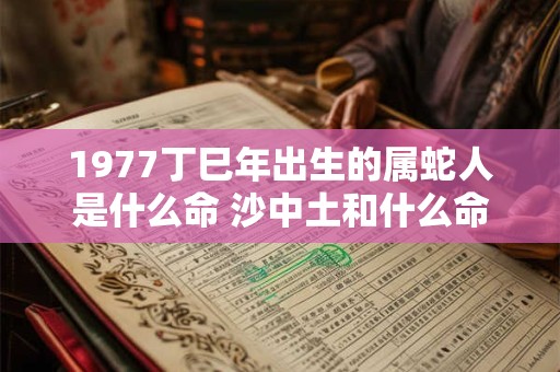 1977丁巳年出生的属蛇人是什么命 沙中土和什么命最配