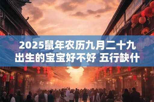 2025鼠年农历九月二十九出生的宝宝好不好 五行缺什么