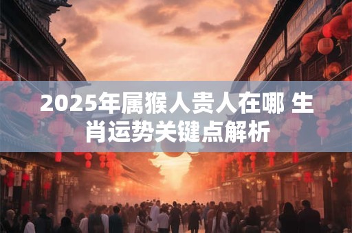 2025年属猴人贵人在哪 生肖运势关键点解析 2025年属猴人贵人在哪 生肖运势关键点解析
