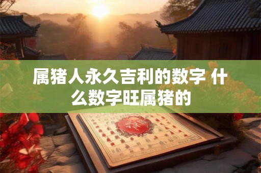 属猪人永久吉利的数字 什么数字旺属猪的