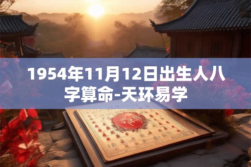 1954年11月12日出生人八字算命-天环易学