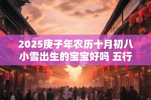 2025庚子年农历十月初八小雪出生的宝宝好吗 五行八字查询