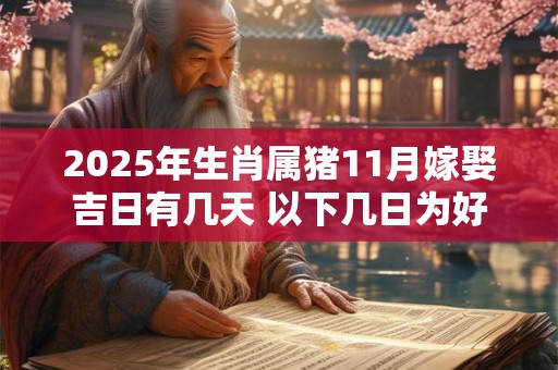 2025年生肖属猪11月嫁娶吉日有几天 以下几日为好日子