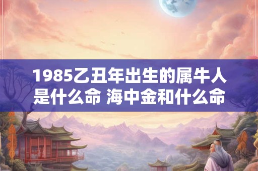 1985乙丑年出生的属牛人是什么命 海中金和什么命最配