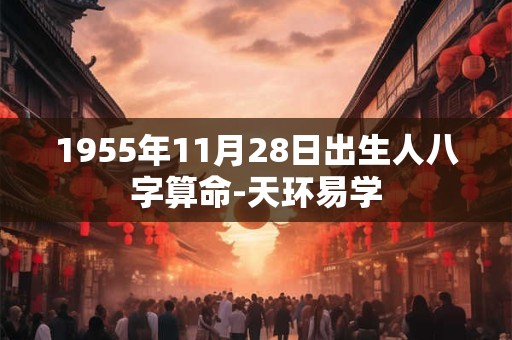 1955年11月28日出生人八字算命-天环易学