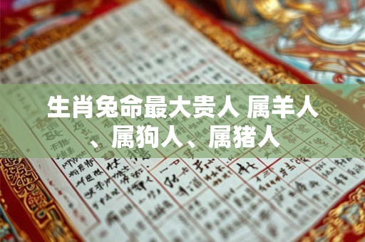 生肖兔命最大贵人 属羊人、属狗人、属猪人