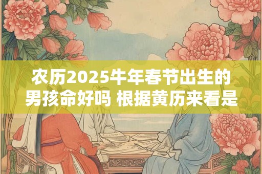 农历2025牛年春节出生的男孩命好吗 根据黄历来看是好的