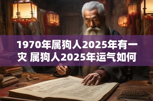 1970年属狗人2026年有一灾 属狗人2026年运气如何 1970年属狗人2026年有一灾 属狗人2026年运气如何