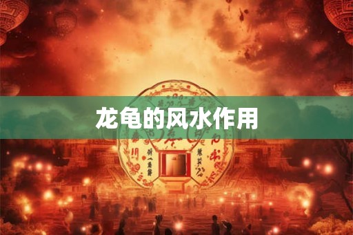 龙龟的风水作用 龙龟的风水作用