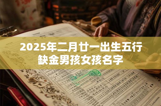 2025年二月廿一出生五行缺金男孩女孩名字