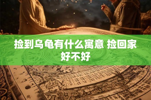 捡到乌龟有什么寓意 捡回家好不好
