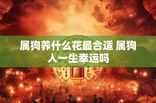 属狗养什么花最合适 属狗人一生幸运吗