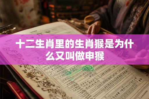 十二生肖里的生肖猴是为什么又叫做申猴 十二生肖里的生肖猴是为什么又叫做申猴