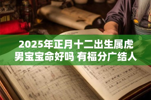 2025年正月十二出生属虎男宝宝命好吗 有福分广结人缘