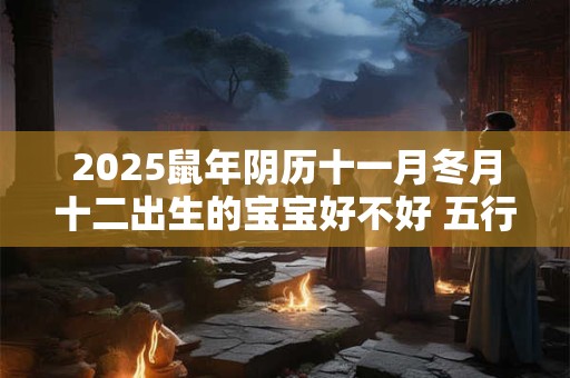 2025鼠年阴历十一月冬月十二出生的宝宝好不好 五行缺什么