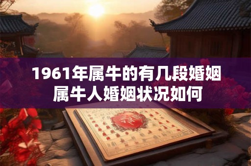 1961年属牛的有几段婚姻 属牛人婚姻状况如何