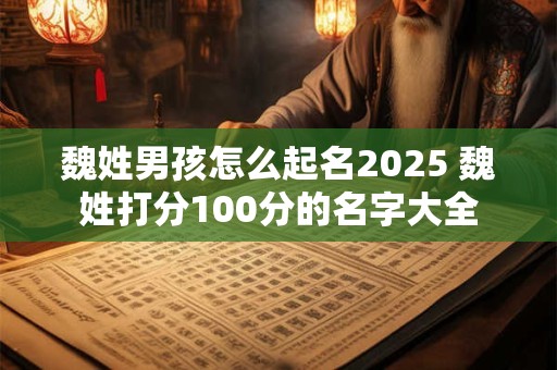 魏姓男孩怎么起名2025 魏姓打分100分的名字大全