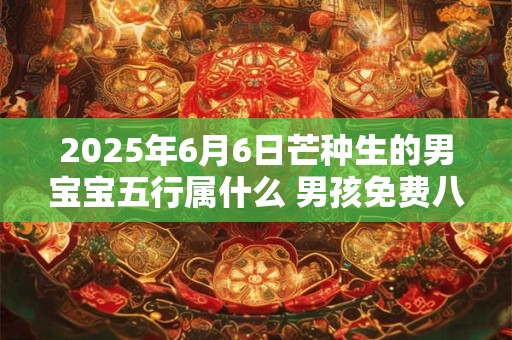 2025年6月6日芒种生的男宝宝五行属什么 男孩免费八字起名