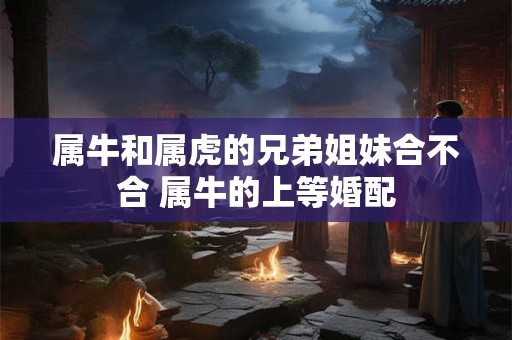 属牛和属虎的兄弟姐妹合不合 属牛的上等婚配 属牛和属虎的兄弟姐妹合不合 属牛的上等婚配