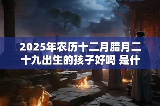 2025年农历十二月腊月二十九出生的孩子好吗 是什么命