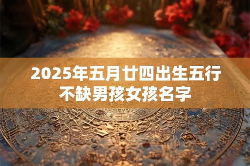 2025年五月廿四出生五行不缺男孩女孩名字