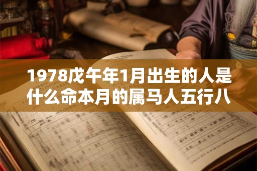 1978戊午年1月出生的人是什么命本月的属马人五行八字查询