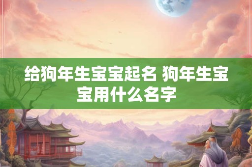 给狗年生宝宝起名 狗年生宝宝用什么名字